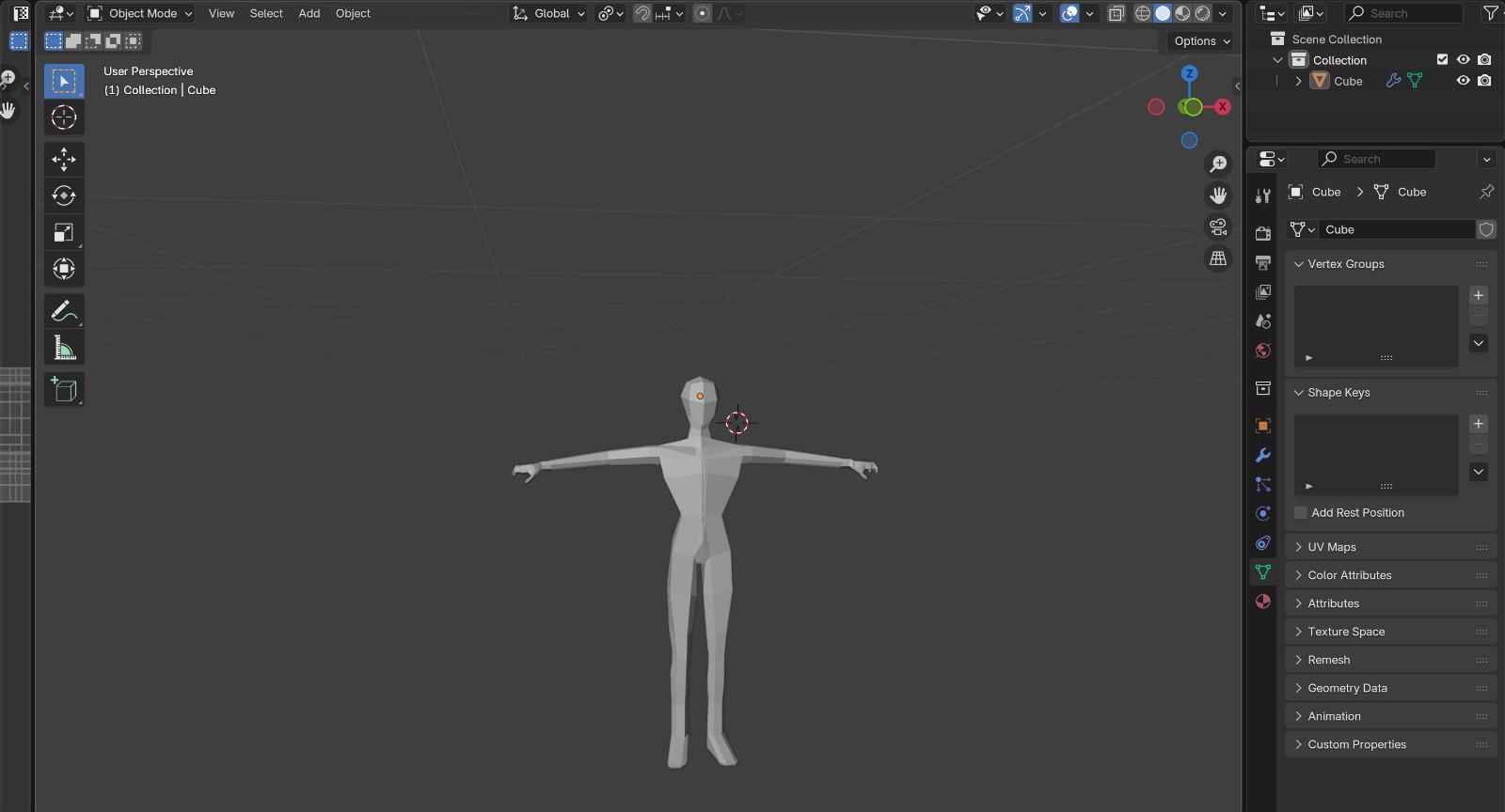 T-pose full body